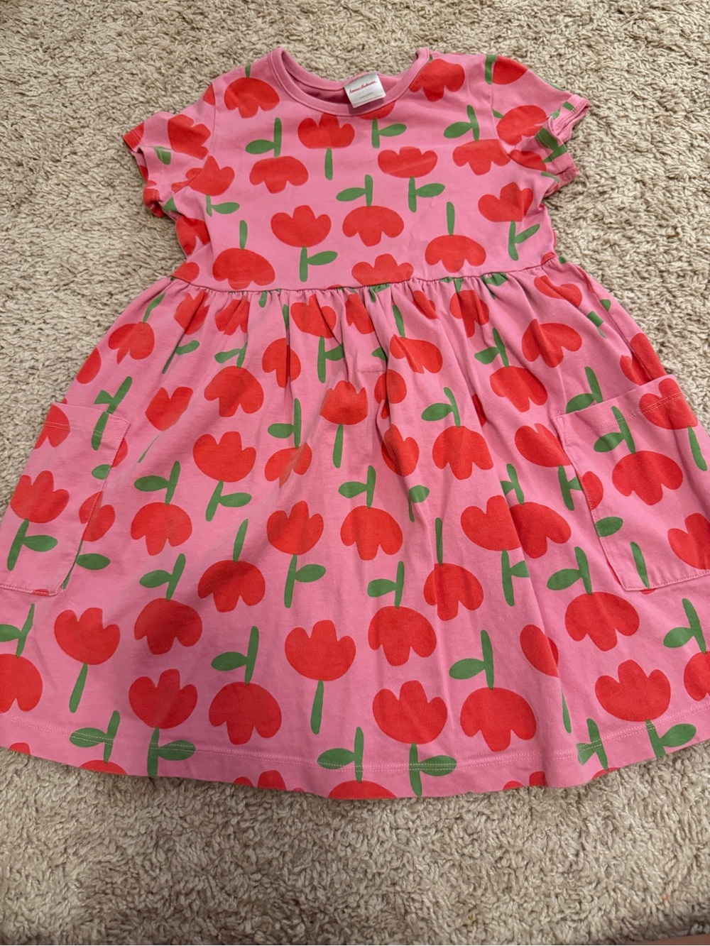Hanna Andersson Pink Dress with Red Floral Print